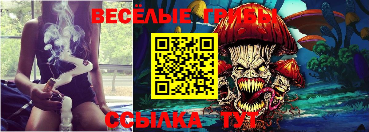 Галлюциногенные грибы GOLDEN TEACHER Коммунар